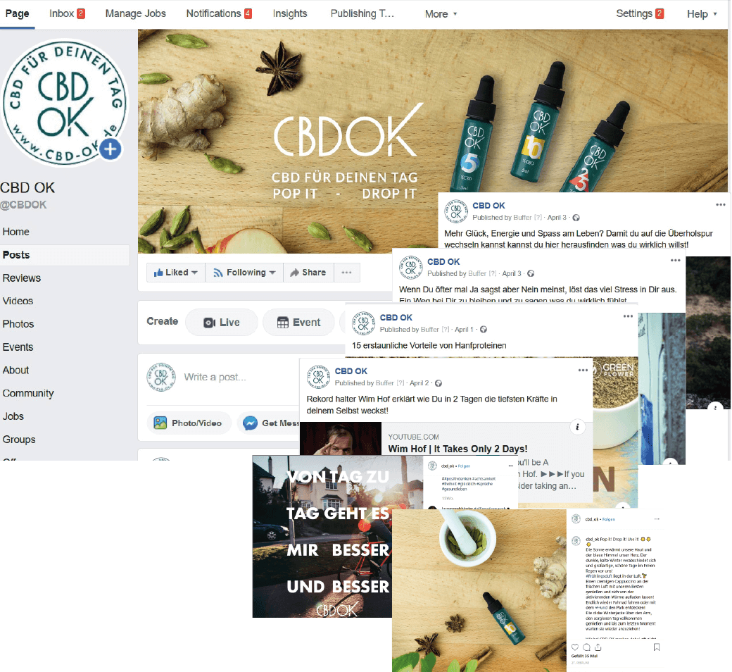 Element 14Web